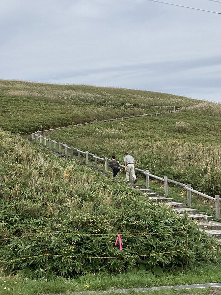 f:id:mistysonata:20211007053903j:plain