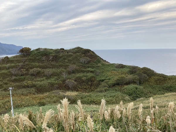 f:id:mistysonata:20211007053939j:plain