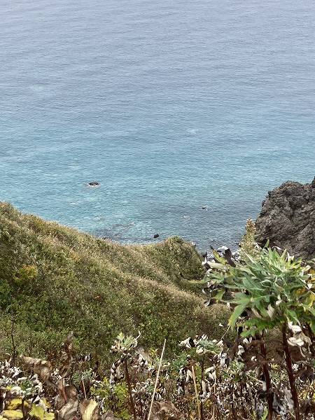 f:id:mistysonata:20211007054104j:plain