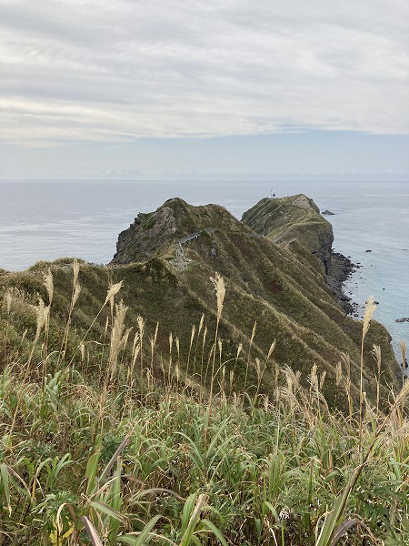 f:id:mistysonata:20211007054700j:plain