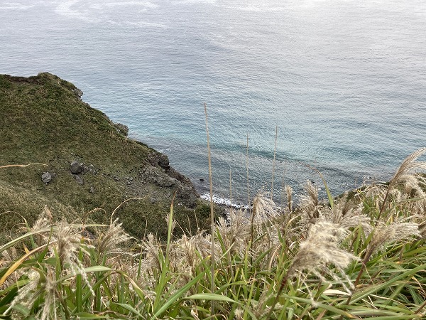 f:id:mistysonata:20211007054825j:plain