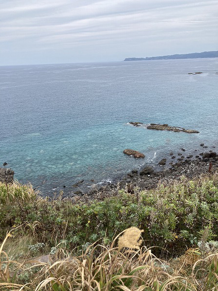 f:id:mistysonata:20211007055217j:plain