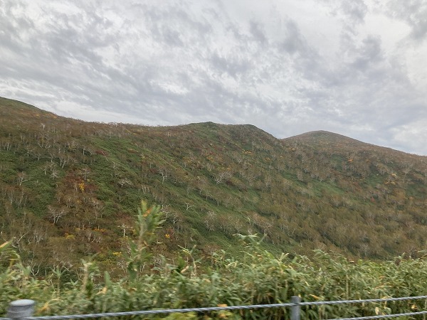 f:id:mistysonata:20211007060414j:plain