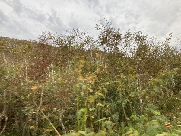 f:id:mistysonata:20211007060432j:plain