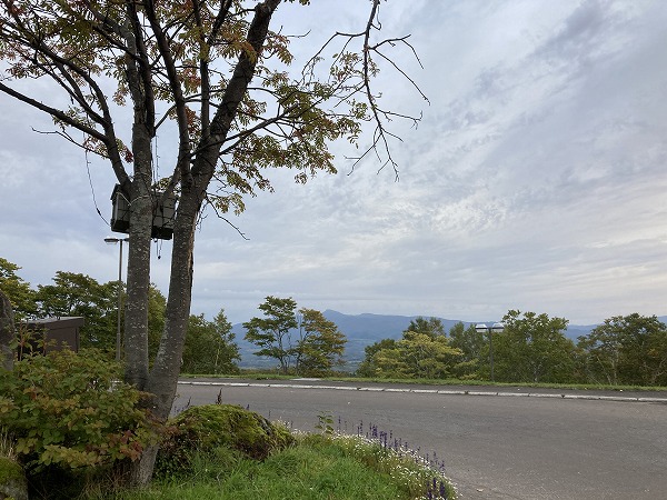 f:id:mistysonata:20211008055636j:plain