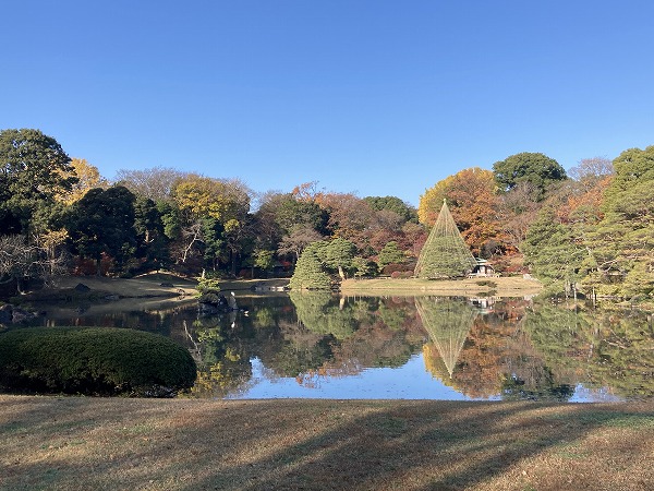 f:id:mistysonata:20211222072105j:plain