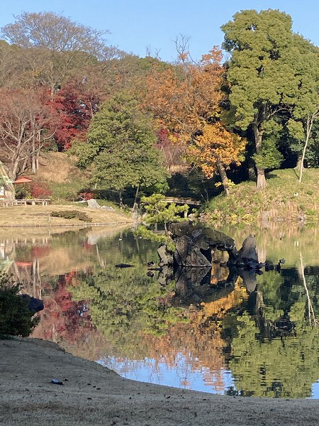 f:id:mistysonata:20211222072125j:plain