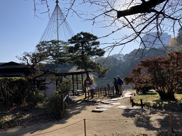 f:id:mistysonata:20211222072549j:plain