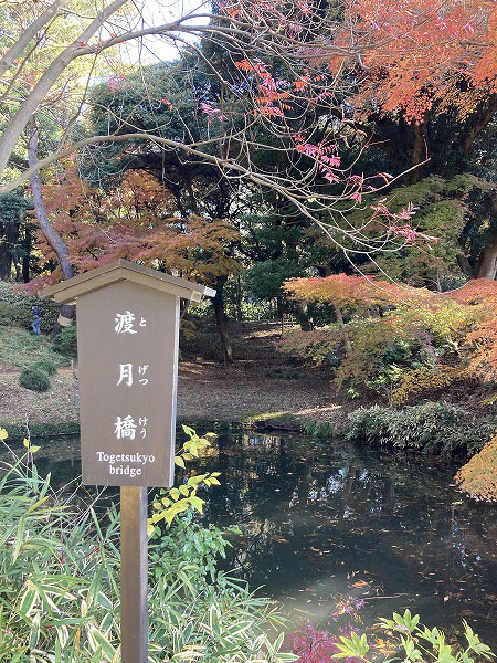 f:id:mistysonata:20211222072622j:plain