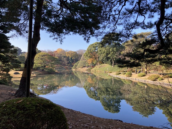 f:id:mistysonata:20211222072637j:plain