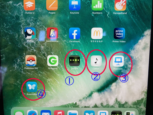 f:id:mistysonata:20220220084221j:plain