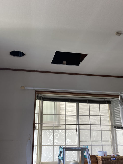 f:id:mistysonata:20220318070246j:plain