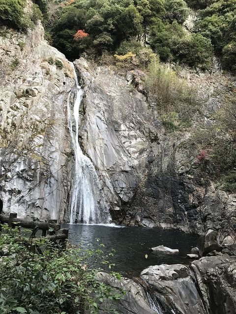 f:id:mistysonata:20220324062205j:plain