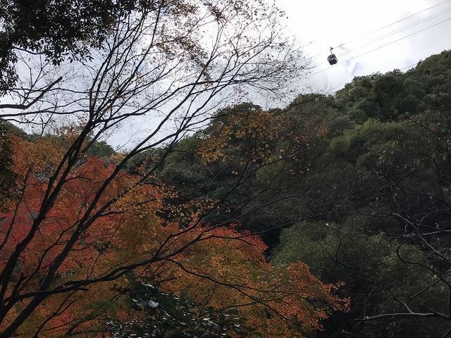 f:id:mistysonata:20220324062239j:plain