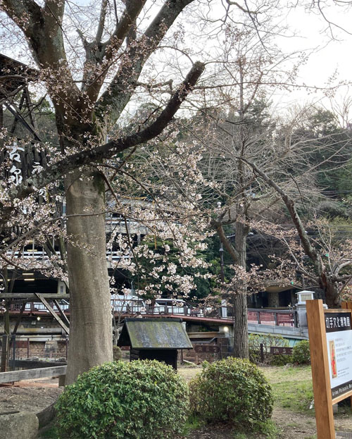 f:id:mistysonata:20220405091958j:plain