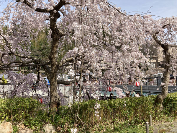 f:id:mistysonata:20220405092154j:plain