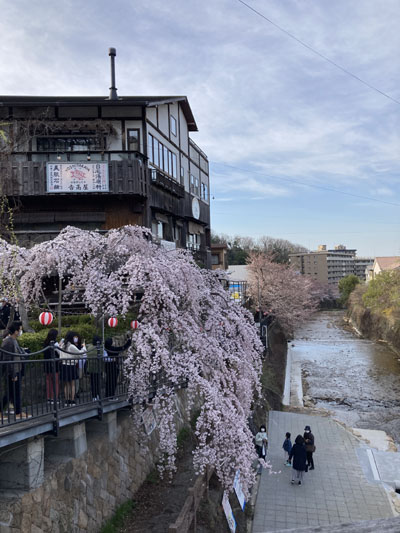 f:id:mistysonata:20220405092619j:plain