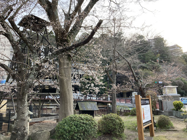 f:id:mistysonata:20220405092637j:plain