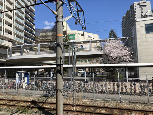 f:id:mistysonata:20220406072511j:plain