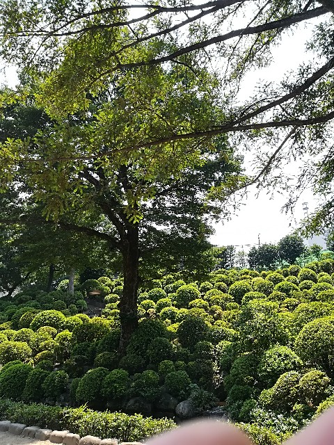 f:id:misua:20180909152318j:image