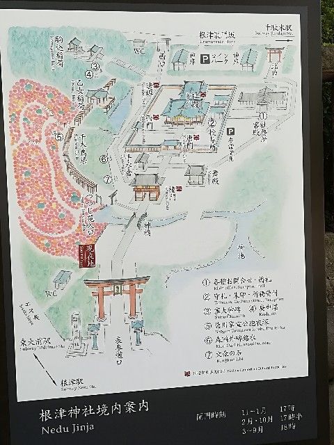 f:id:misua:20180909152412j:image