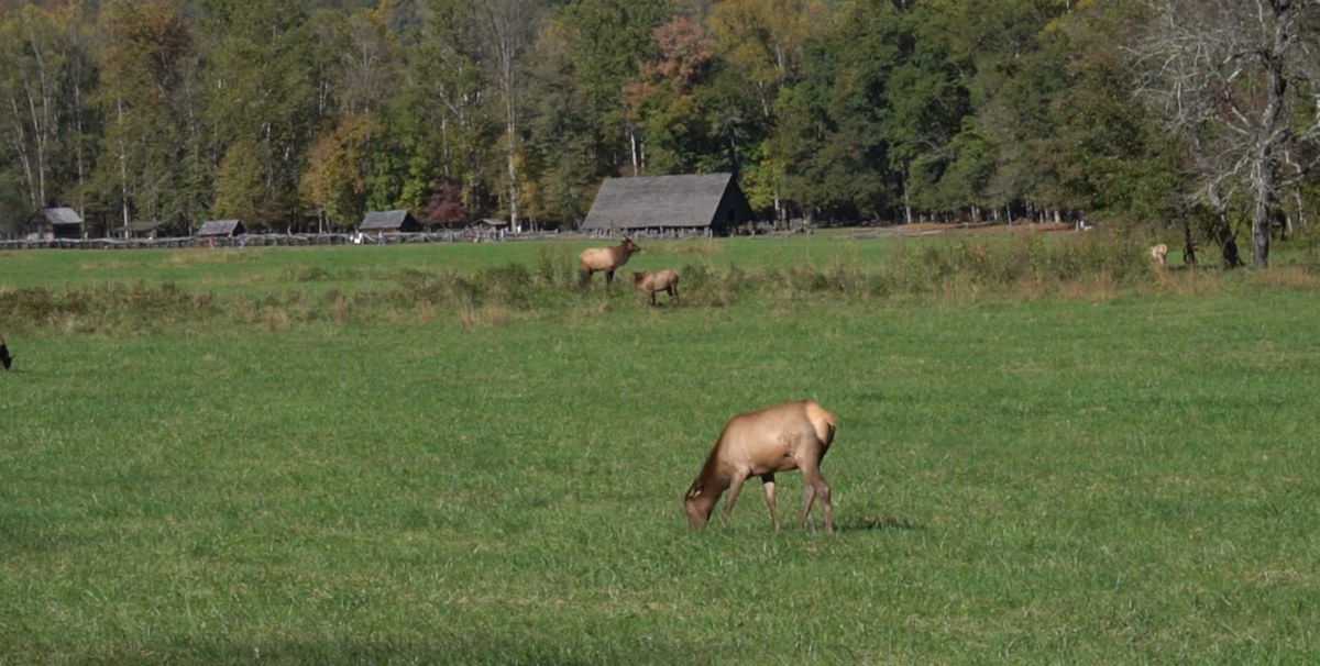 f:id:misugaru:20211129042818p:plain