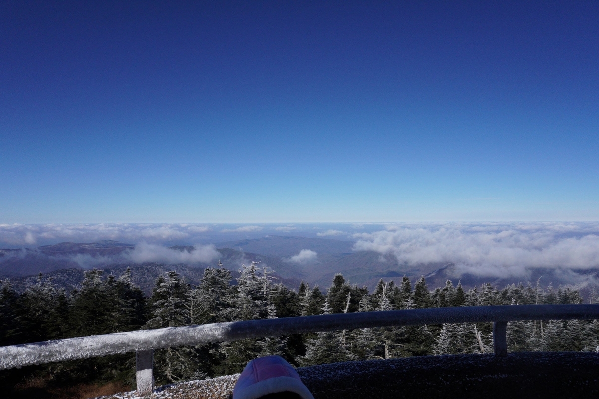 f:id:misugaru:20211201120721j:plain