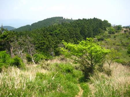 20080517120820