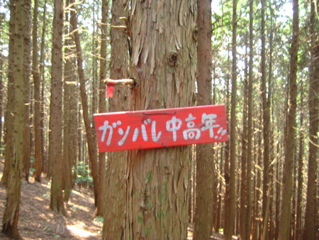 20080517123757