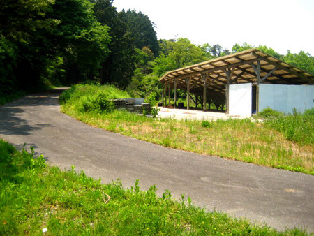20080517125235