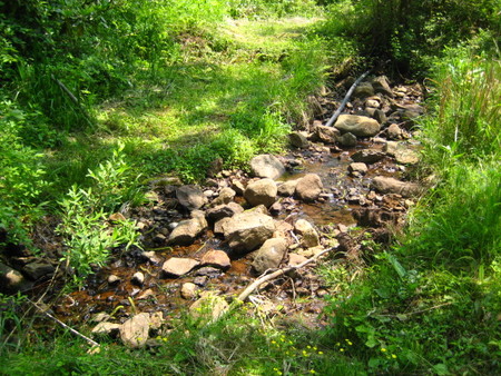 20080517131126