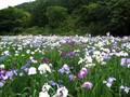 20080626105849