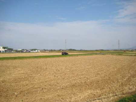 20081029131941