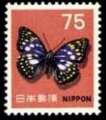 オオムラサキ 1966年
