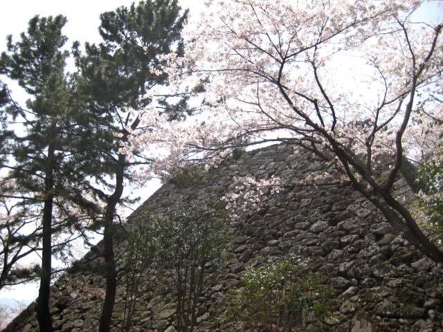 20110413183522