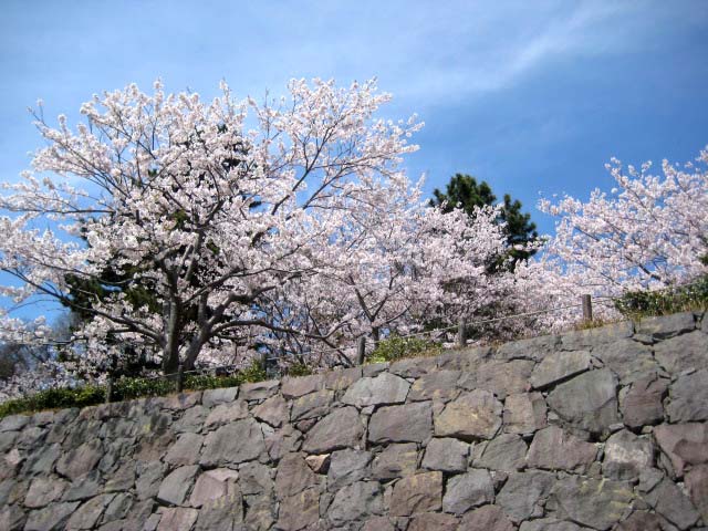 20110413183525
