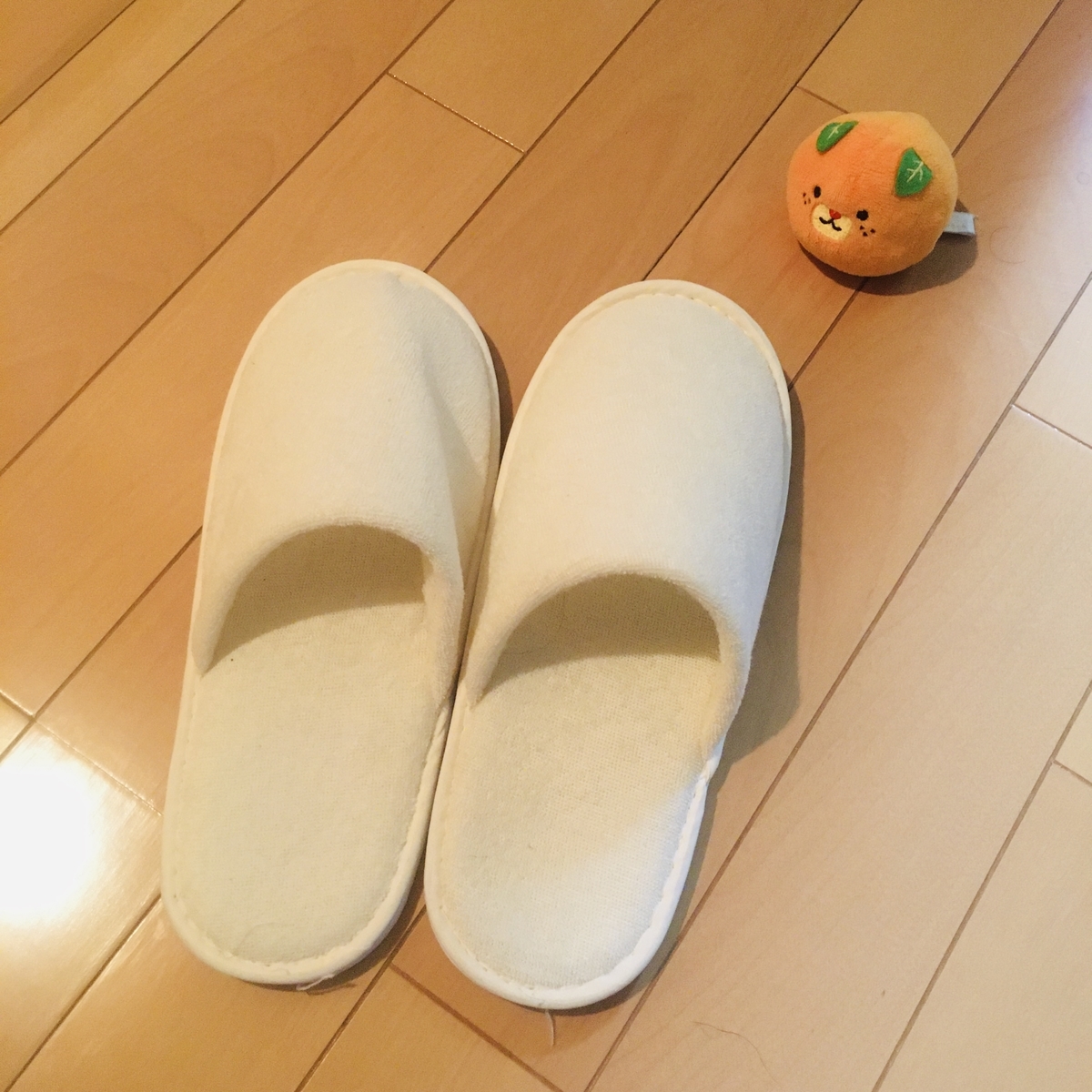 一人暮らし初心者 トイレ用スリッパをどうするか悩んだ結果 みすけ手帖