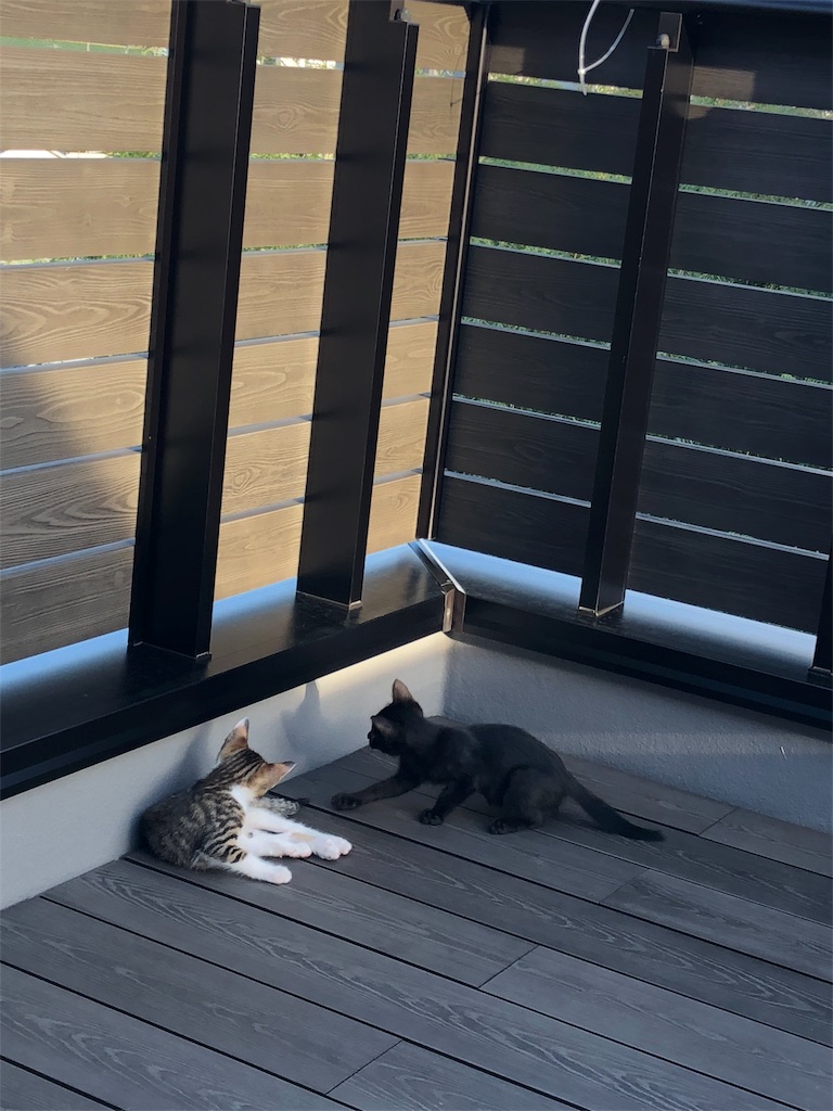 f:id:misuto10:20180913043808j:image