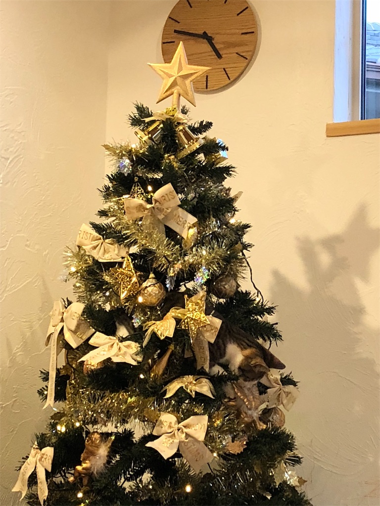 f:id:misuto10:20181211005405j:image