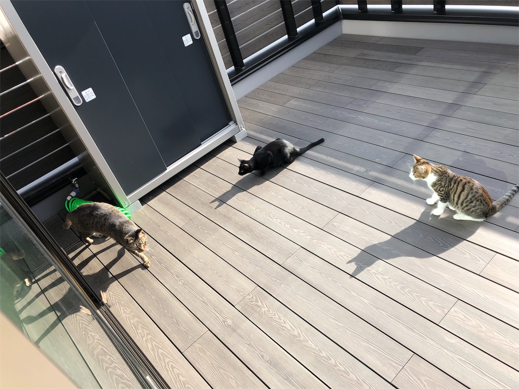 f:id:misuto10:20181224070942j:image