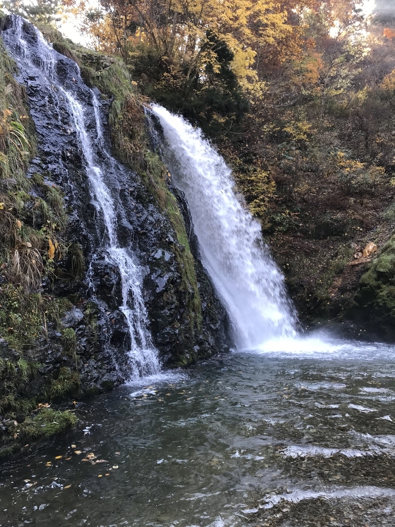 f:id:misyobun:20181104120620j:plain f:id:misyobun:20181104120620j:plain