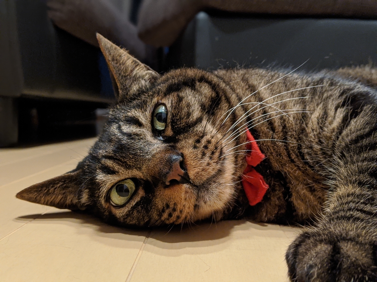 f:id:misyobun:20200503214914j:plain