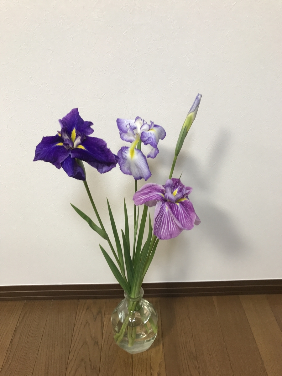 f:id:misyounoyuzu:20200722204758j:plain f:id:misyounoyuzu:20200722204758j:plain