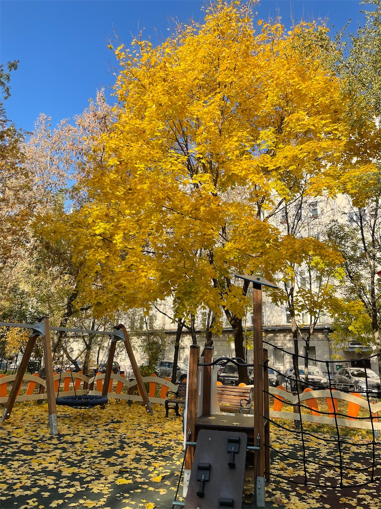 f:id:mit0maru:20211008110112j:image f:id:mit0maru:20211008110112j:image