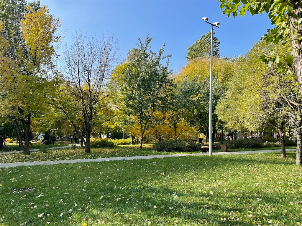 f:id:mit0maru:20211008110129j:image f:id:mit0maru:20211008110129j:image