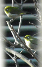 f:id:mitaayanosuke:20220302170057j:plain