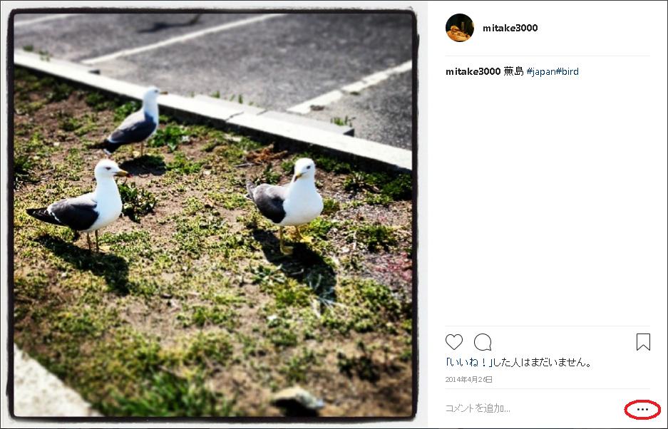 f:id:mitake3000:20180803174508j:plain