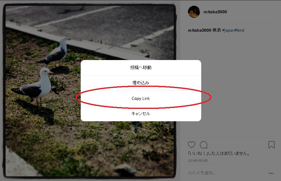 f:id:mitake3000:20180803175122j:plain