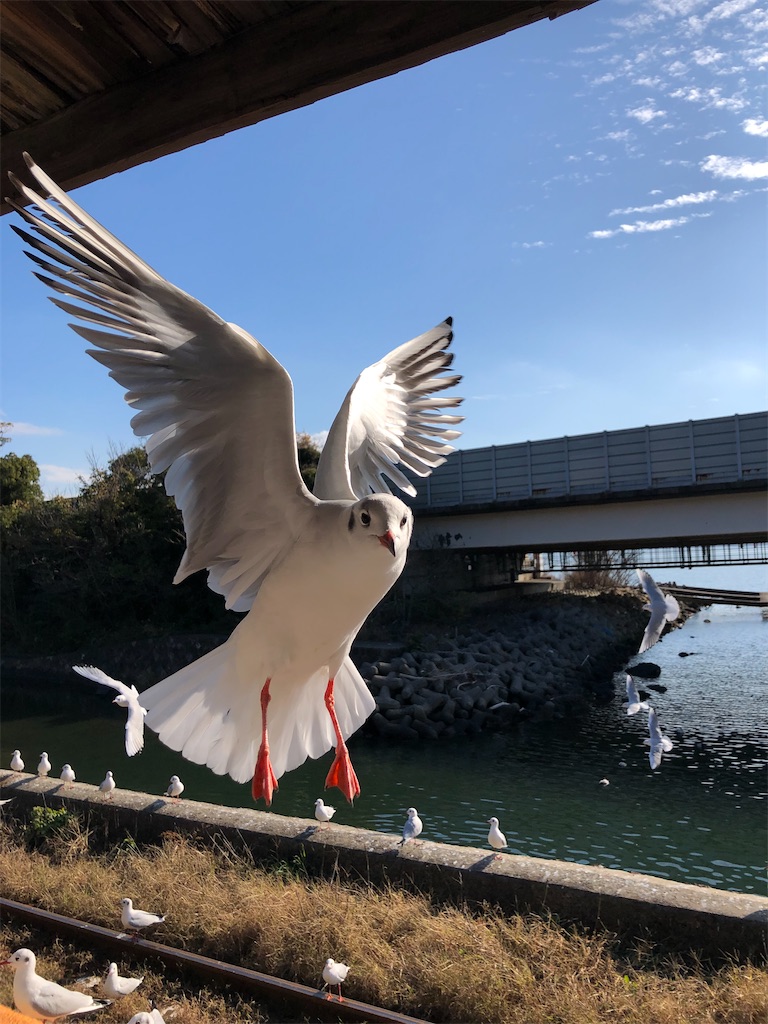 f:id:mitake85:20200115135824j:image f:id:mitake85:20200115135824j:image
