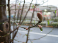 20150407172738